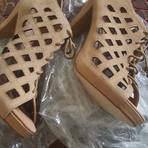 Gibbard Aldo heels